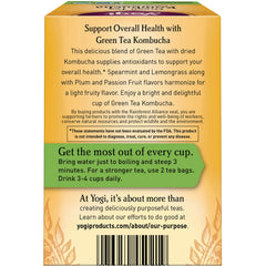 Green Tea Kombucha
