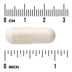 Full Spectrum Boswellia - Double Strength