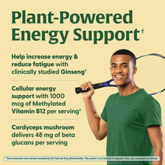 Superfood Mushroom Energy Support