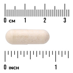 Phosphatidylserine