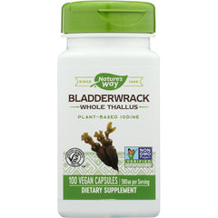 Bladderwrack Whole Thallus