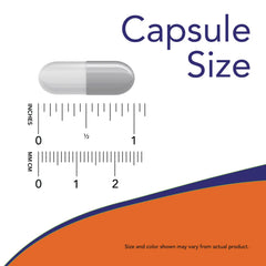 Candida Support