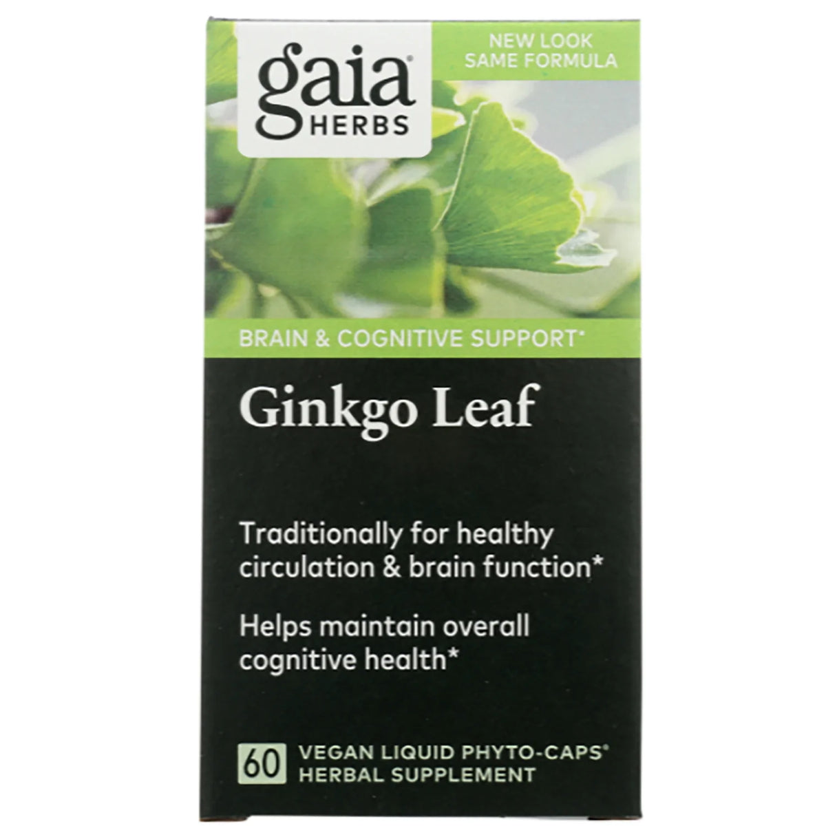 Ginkgo Leaf