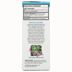 Umcka ColdCare - Mint-Menthol