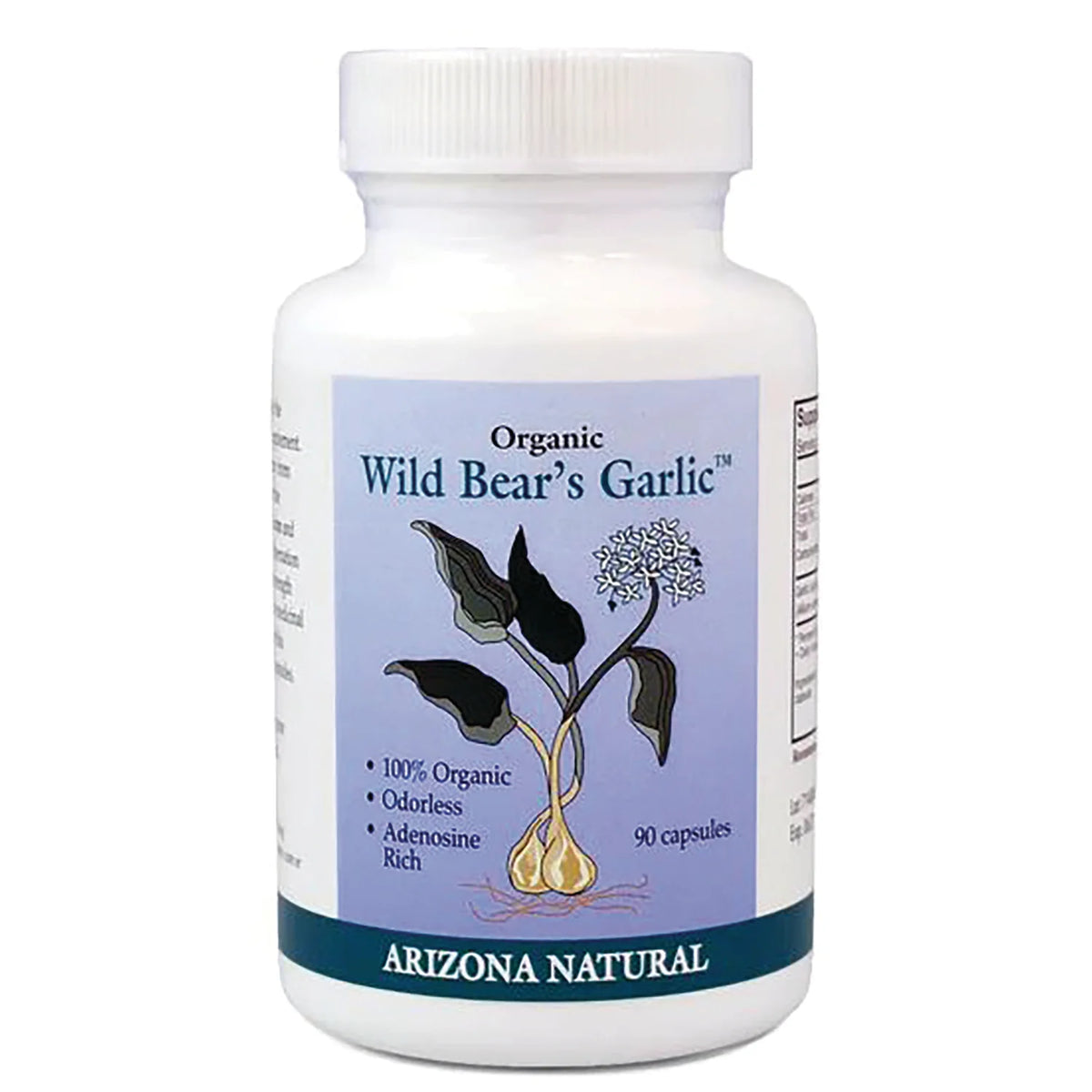 Organic Wild Bear's Garlic