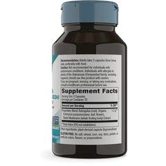 Echinacea Astragalus & Reishi Premium Blend