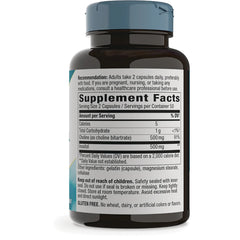 Choline & Inositol