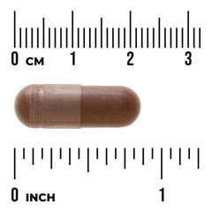 Full Spectrum Cacao (Raw Cocoa)