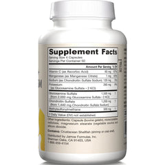 Glucosamine + Chondroitin + MSM