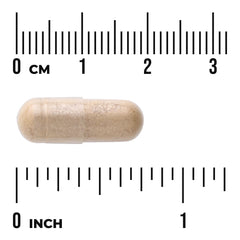 Thyroid Glandular - Thyroxin-Free Formula