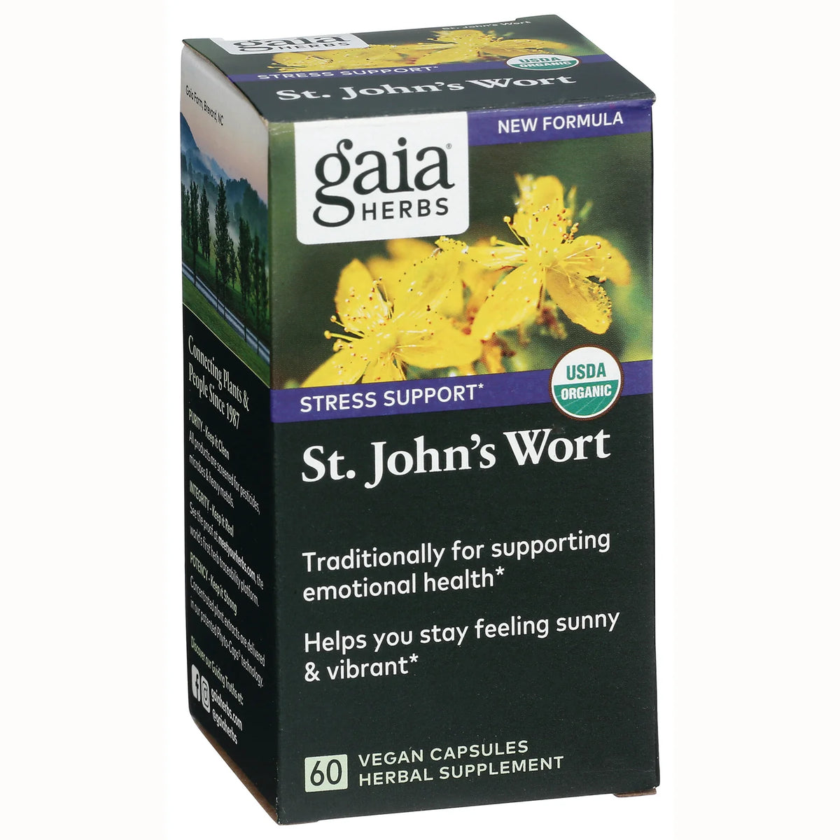 St. John's Wort