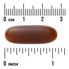 Sunflower Lecithin from Non-GMO Sunflower Seeds