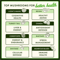 Full Spectrum Reishi Mushroom