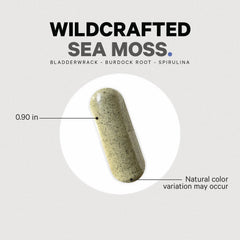 Sea Moss Wildcrafted