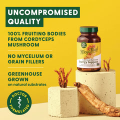 Superfood Mushroom Energy Support