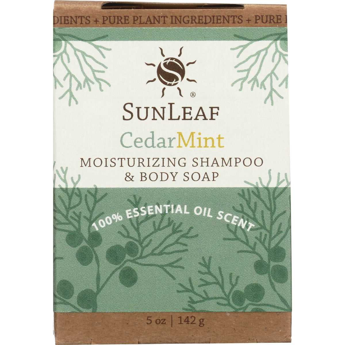 Moisturizing Shampoo and Body Soap - Cedar Mint