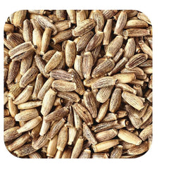 Milk Thistle Seed Organic