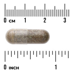 Holy Basil Extract - Standardized