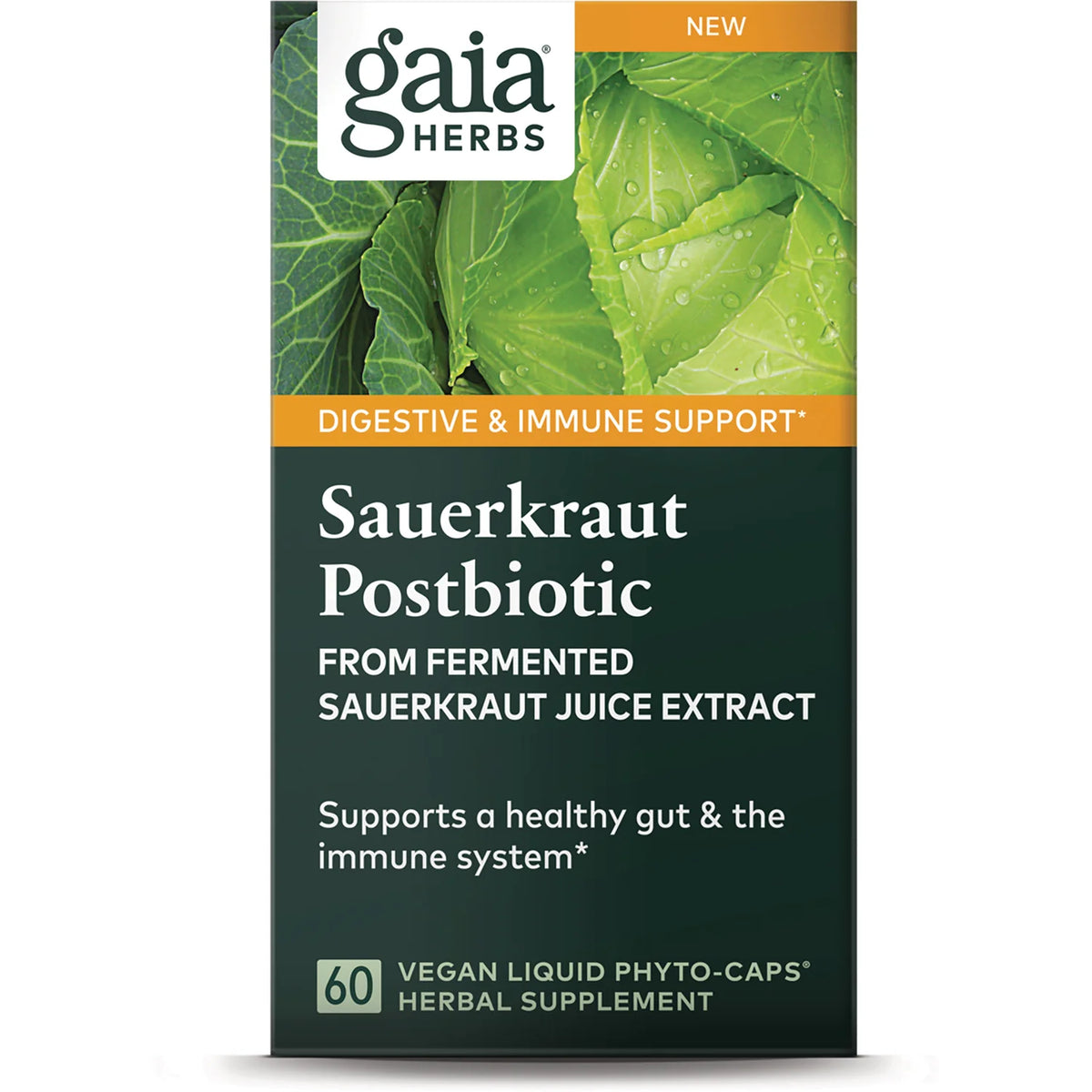 Sauerkraut Postbiotic