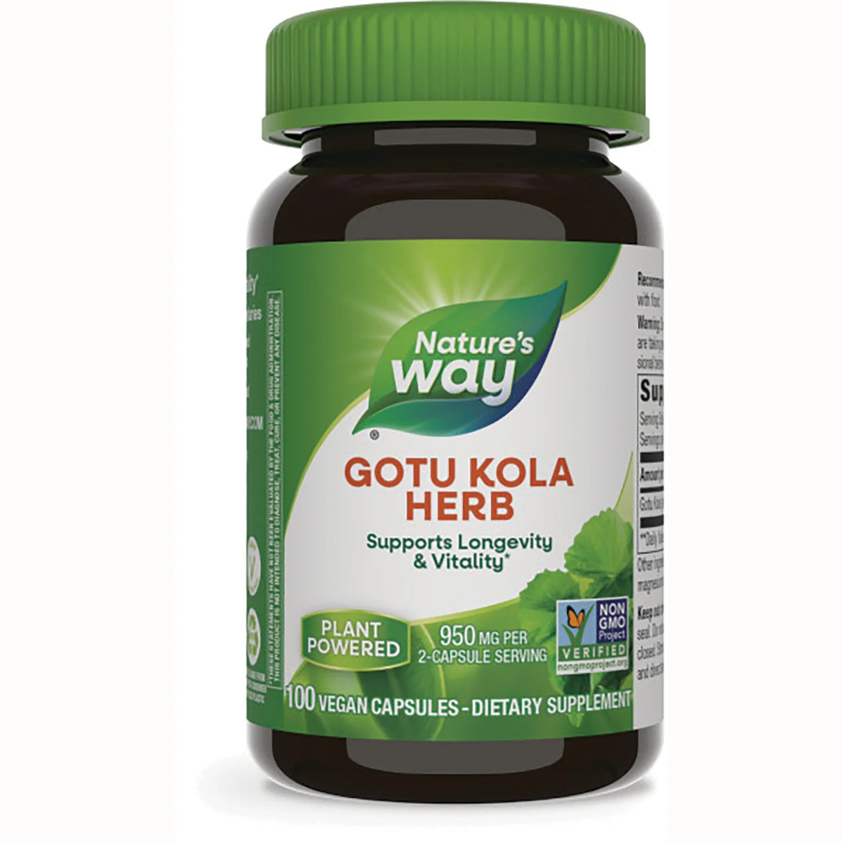 Gotu Kola Herb